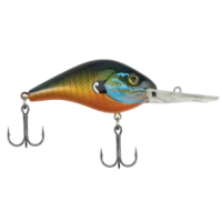 BERKLEY DREDGER 14.5-GILLY