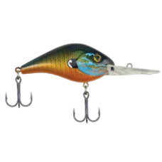 BERKLEY DREDGER 14.5-GILLY