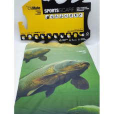 CLIMATE SP/SCARF CARP FISH