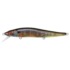 VISION 110 JR-FA GILL MEGABASS