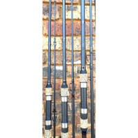 ROD TRIBAL AC-5 10' 3.2LB 20-85G 2PC
