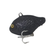 BCP P/SEED LRG-BLACK TIGER PUMPKIN