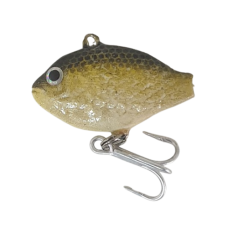 BCP P/SEED SML-CARP PUMPKIN