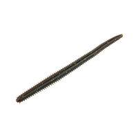 MCARTHY BRISTLE WORM 4