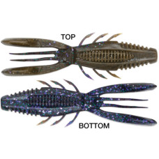 CRUSHCITY BRONCO BUG 4