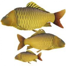 CARP PILLOW 70CM SCREEN PRINTED