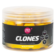WAFTER CLONES SWEETCORN MAINLINE