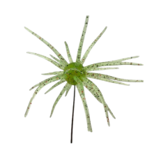 BUG BALLS LRG 20MM-WAT/RED 1PP