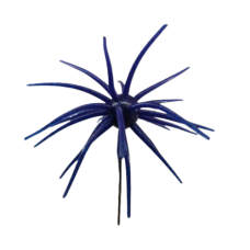 BUG BALLS LRG 20MM-JUNEBUG BLUE 1PP
