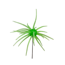 BUG BALLS LRG 20MM-CHART GLITTER 1PP