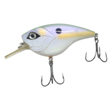 CULLEM PRO FLAT COMET 6.5CM-DINNERBELL