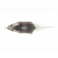 HOLLOW MOUSE 6CM-VELD MOUSE
