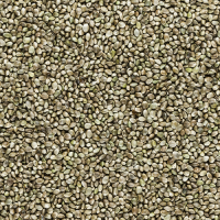 HEMPSEED 1KG