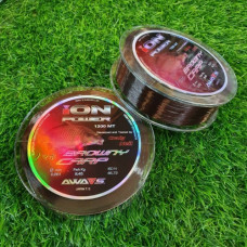 BROWNYCARP 0.261 1200M