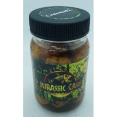 TIGERS JURASSIC-CARAMEL