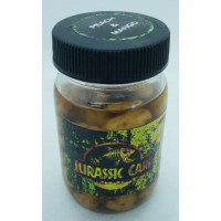 TIGERS JURASSIC-PEACH & MANGO