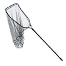 L/NET HAVOC ADRENALIN