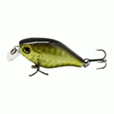 LURE M/B CHUNKY-C GLD SHAD