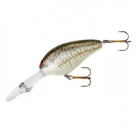 NORMAN DD22 SPLATTER BASS 11-17FT