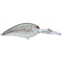 NORMAN DLN 9-12FT-SPLATTER BASS