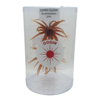 OOGIN 22MM-SCUPPERNONG 2PP ITTYS