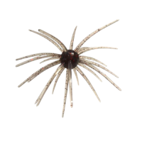 PHAGE BOMB 110MM-BLOOD CELL BWG