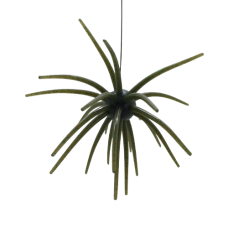 PHAGE BOMB 110MM-MUTATION PUMPKIN BWG