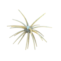PHAGE BOMB 110MM-BIO MELON PEARL BWG