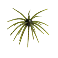 PHAGE BOMB 110MM-CANDY STRAIN BWG
