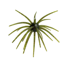 PHAGE BOMB 110MM-CANDY STRAIN BWG