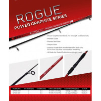 ROD PIONEER ROGUE 10' 2PC