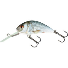 LURE HORNET4 REALDACE