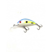 LURE R/HORNET H5.5 SEXYSHAD