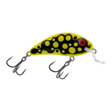 R/HORNET4.5 SHALOW-BRIGHT BEETLE