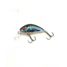 R/HORNET3.5 SHALOW-HOLO REAL DACE
