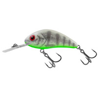 LURE R/HORNET H5.5 GHOST PERCH