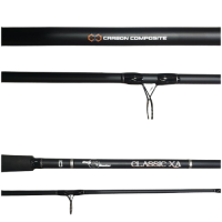 ROD CARP HUNTER CLASSIC 10' 2PC