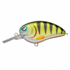 LITTLE JOHN BABY DD60-GREEN PERCH