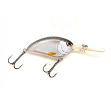 LITTLE JOHN BABY DD60-SPOOKY ROACH