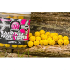 WAFTER 15MM ESSENTIAL CELL MAINLINE