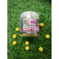 WAFTER 15MM ESSENTIAL IB MAINLINE