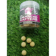 WAFTER 18MM BANOFFEE H.I.B MAINLINE