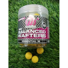 WAFTER 18MM ESSENTIAL I.B H.I.B MAINLINE